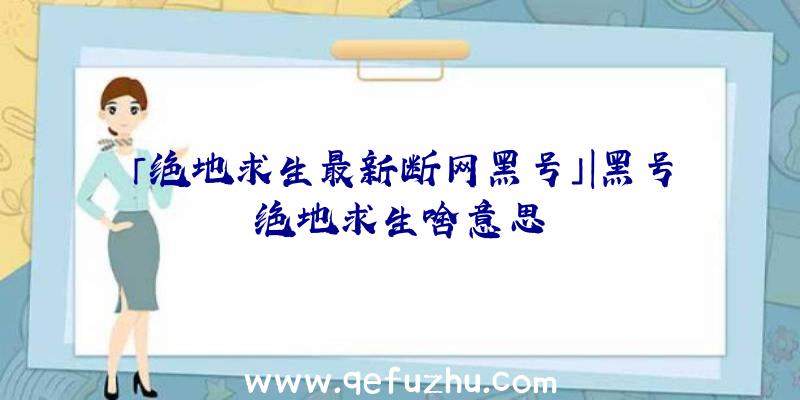 「绝地求生最新断网黑号」|黑号绝地求生啥意思